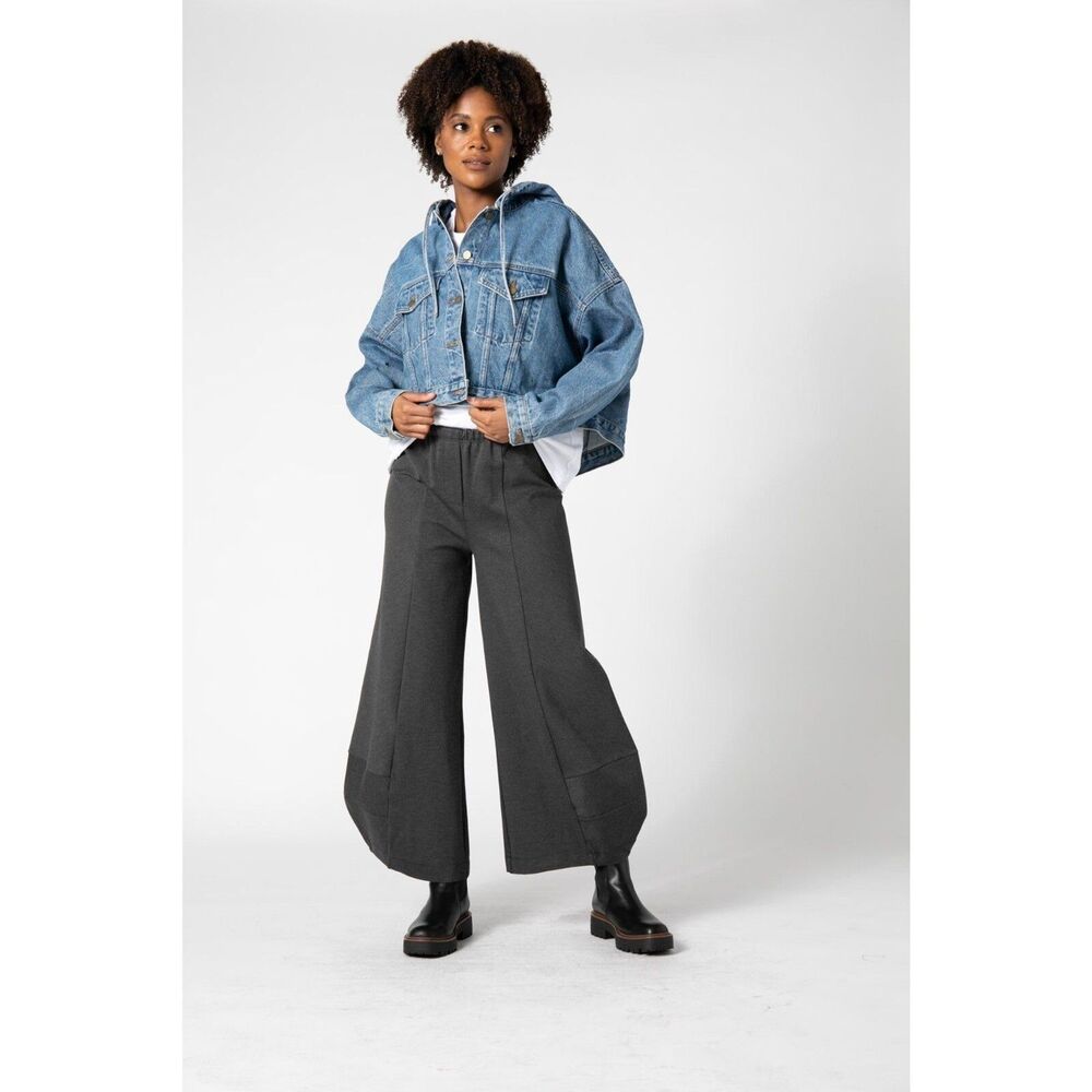 NWT Ruti Skylar Wide Leg Pants Charcoal Size 4